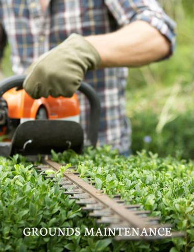 Grounds maintenance